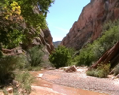 Hackberry Canyon 1