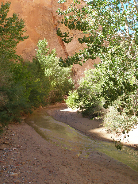 Hackberry Canyon 2
